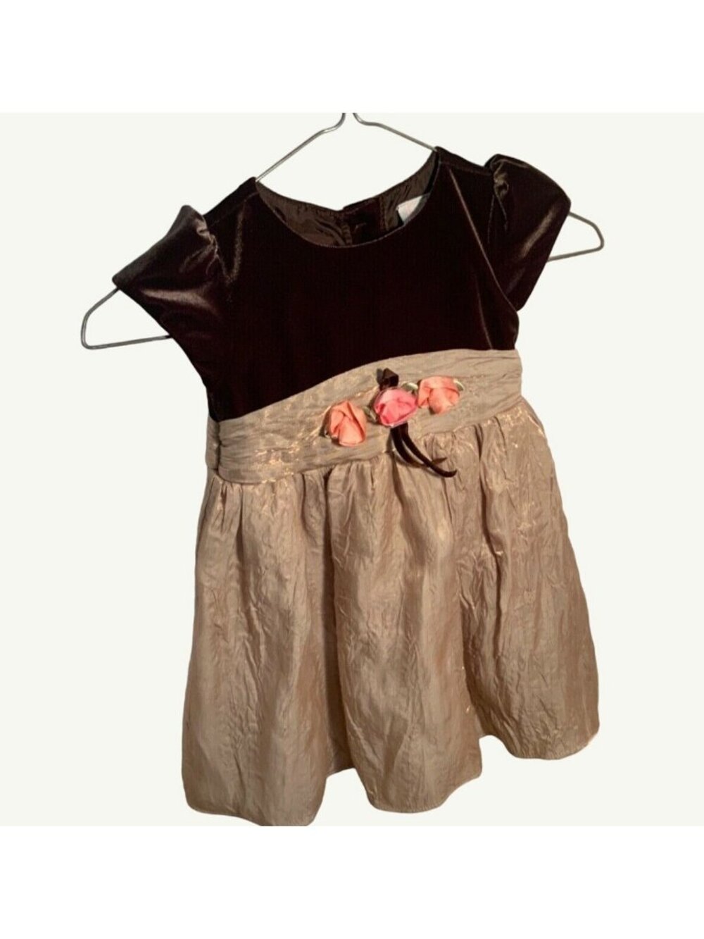 Girls Toddler 3T Dress by Youngland Brown Beige